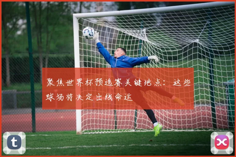 聚焦世界杯预选赛关键地点：这些球场将决定出线命运