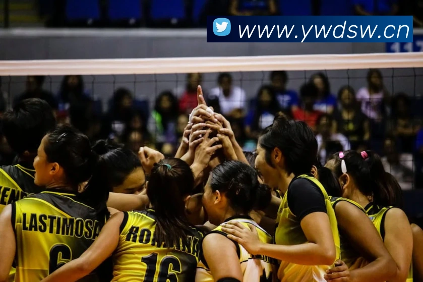 巅峰国标pg官网服务体系